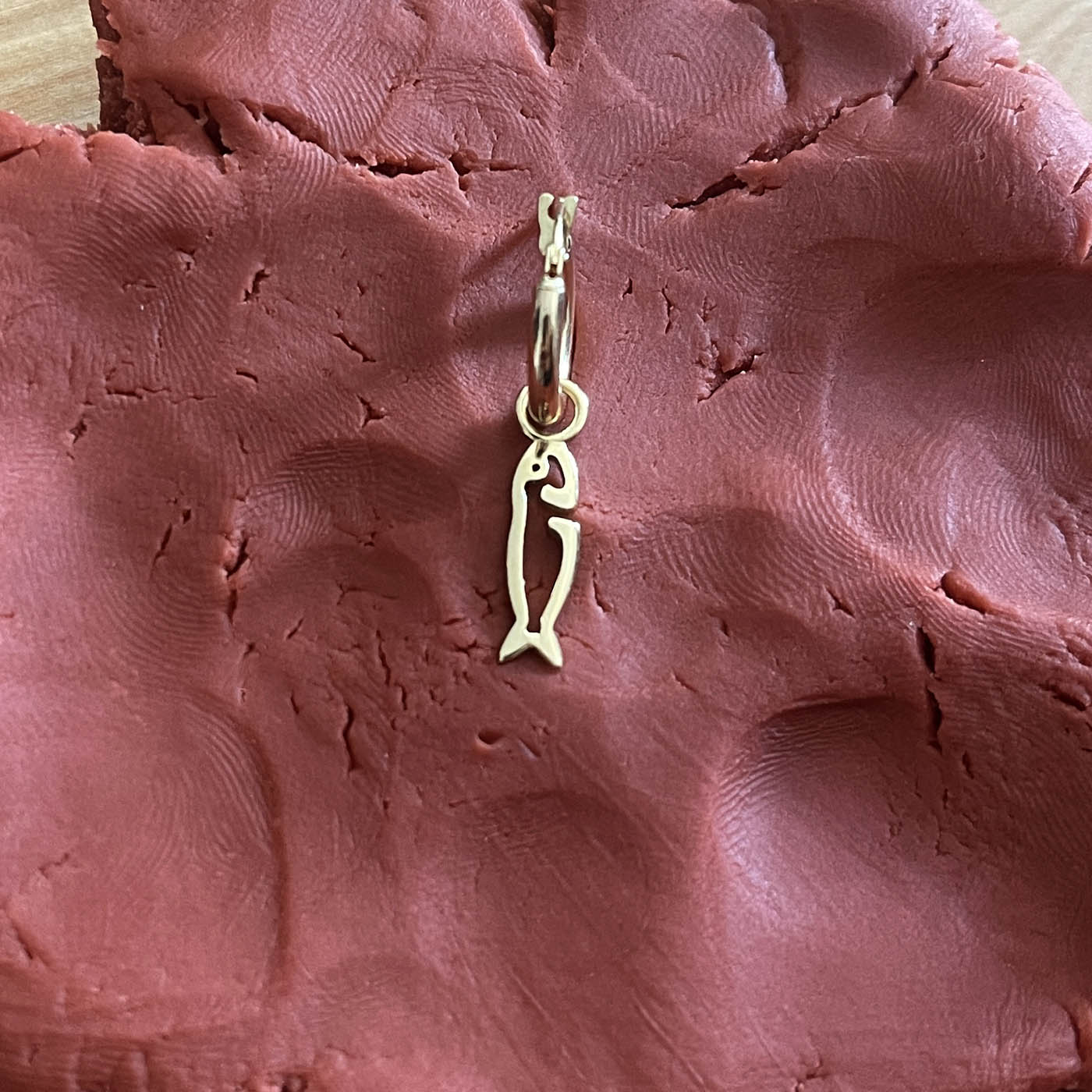 Fish Single Earring